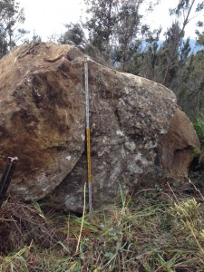 The 50 tonne dolerite boulder. The staff is 3m high.