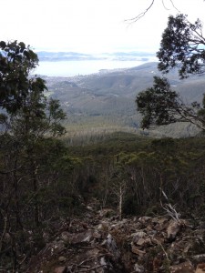 The 170m travel path taken by the boulder, over 40+0 talus slopes and through 250 sub-alpine eucalypt forest slopes.