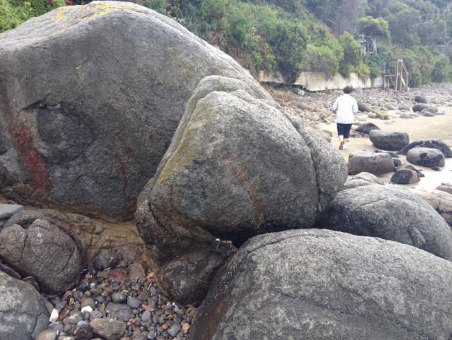 A detail of large spheroidally-weathered dolerite boulders in the intertidal zone, adjacent to the exposure interpreted as dolerite bedrock showing the doleritic matrix between the boulders.  