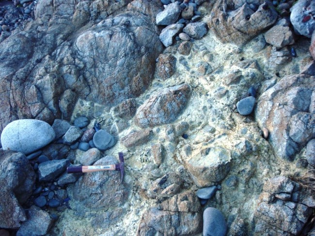 Detail of a brecciated zone in doleritic material on the foreshore near Charles Darwin Cliff. Hydrothermal alteration like this is very common in the area. 