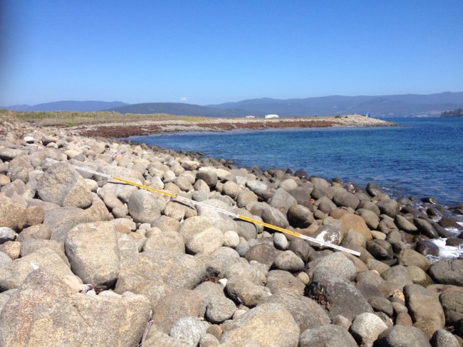 Dolerite boulders at Dennes Point, looking west from Kellys Point. The staff in the foreground is 5m long.