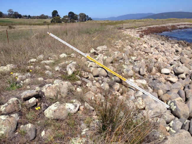 Dennes Point, looking west from Kellys Point showing the dolerite boulder deposit extending inland from the foreshore and disappearing beneath grass cover. The seawards slope here is about 250.