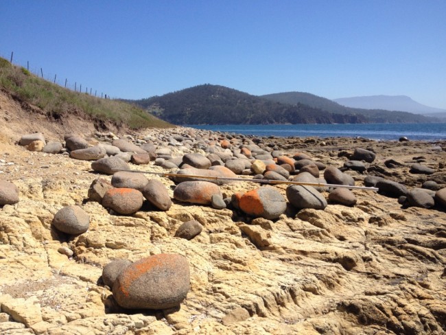 Looking west towards Kellys Point, from a shore platform cut into Permian siltstone and sandstone showing the eastern extent of the dolerite boulders.