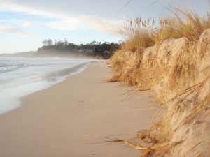 A 1.5m high erosion scarp at Spring Beach near Orford in southeastern Tasmania.