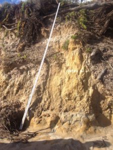 The vertical face of a 5m high actively eroding soft shoreline
